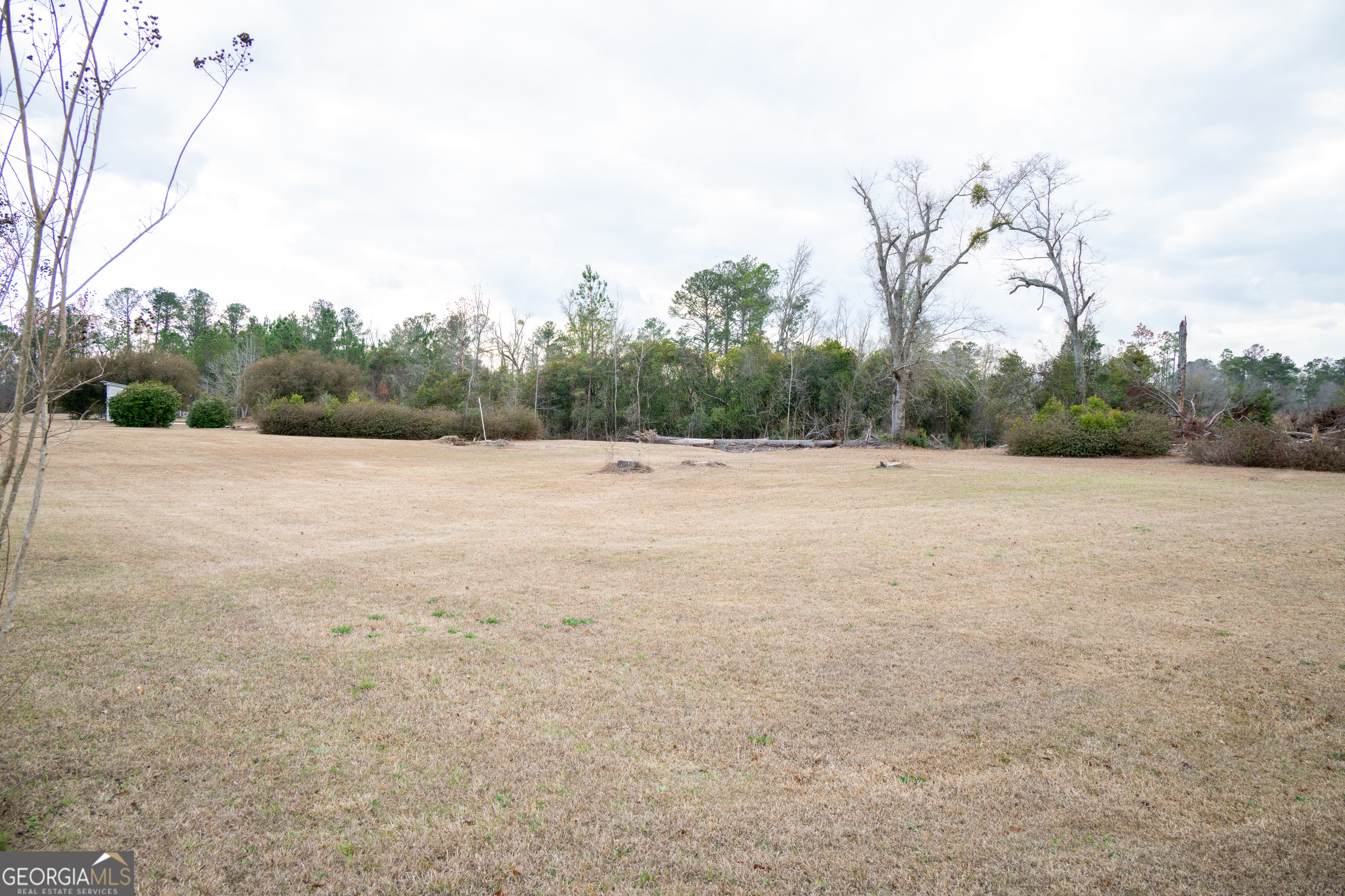 963 Springhill Church Road Alamo GA 30411