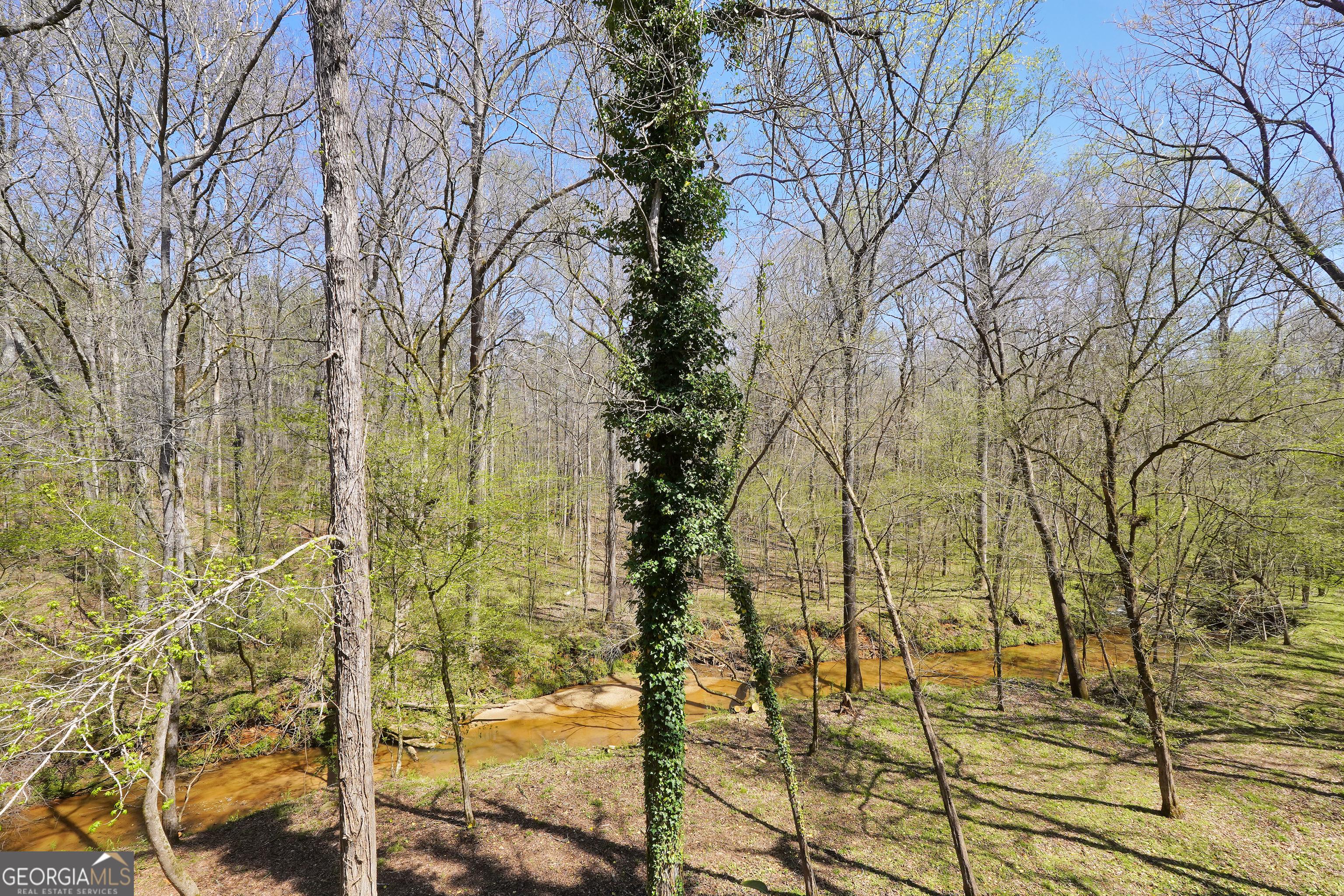 404 Blue Store Road Forsyth GA 31029