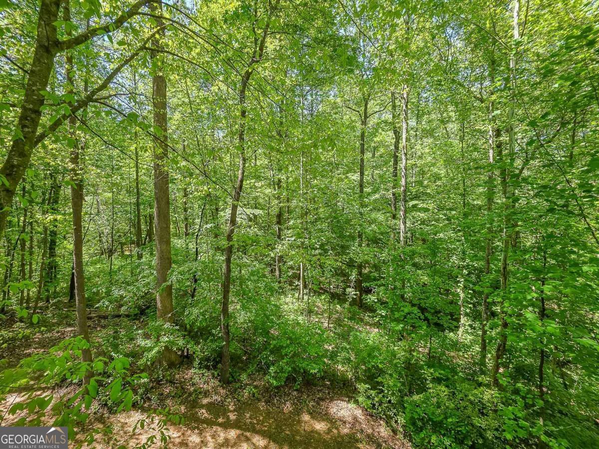 4025 Halisport View Kennesaw GA 30152