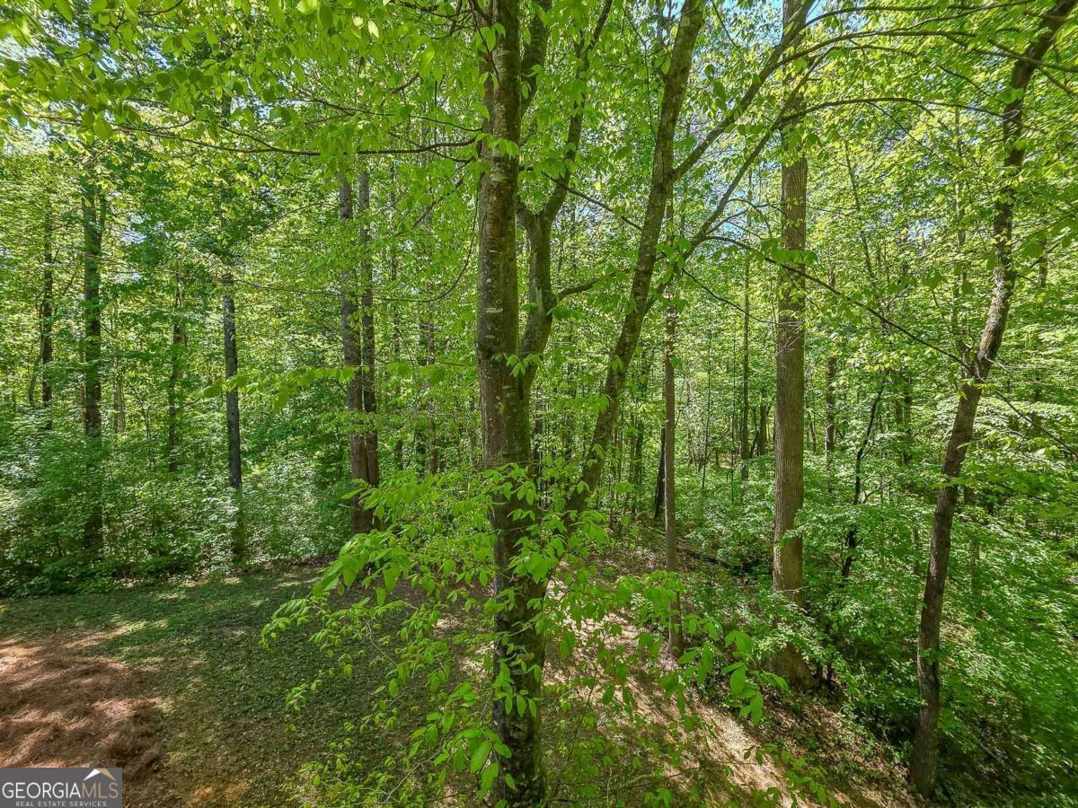 4025 Halisport View Kennesaw GA 30152