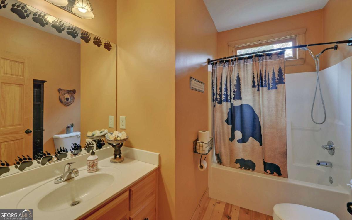 169 Wildwood Court Ellijay GA 30540