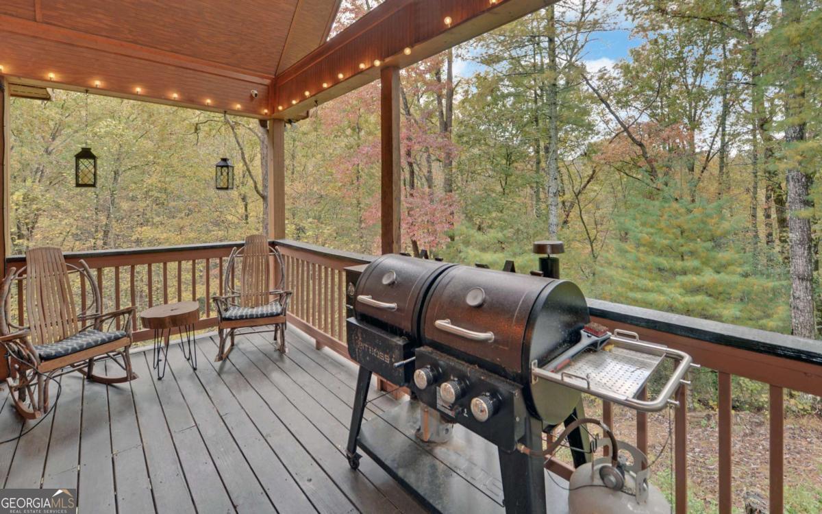 169 Wildwood Court Ellijay GA 30540