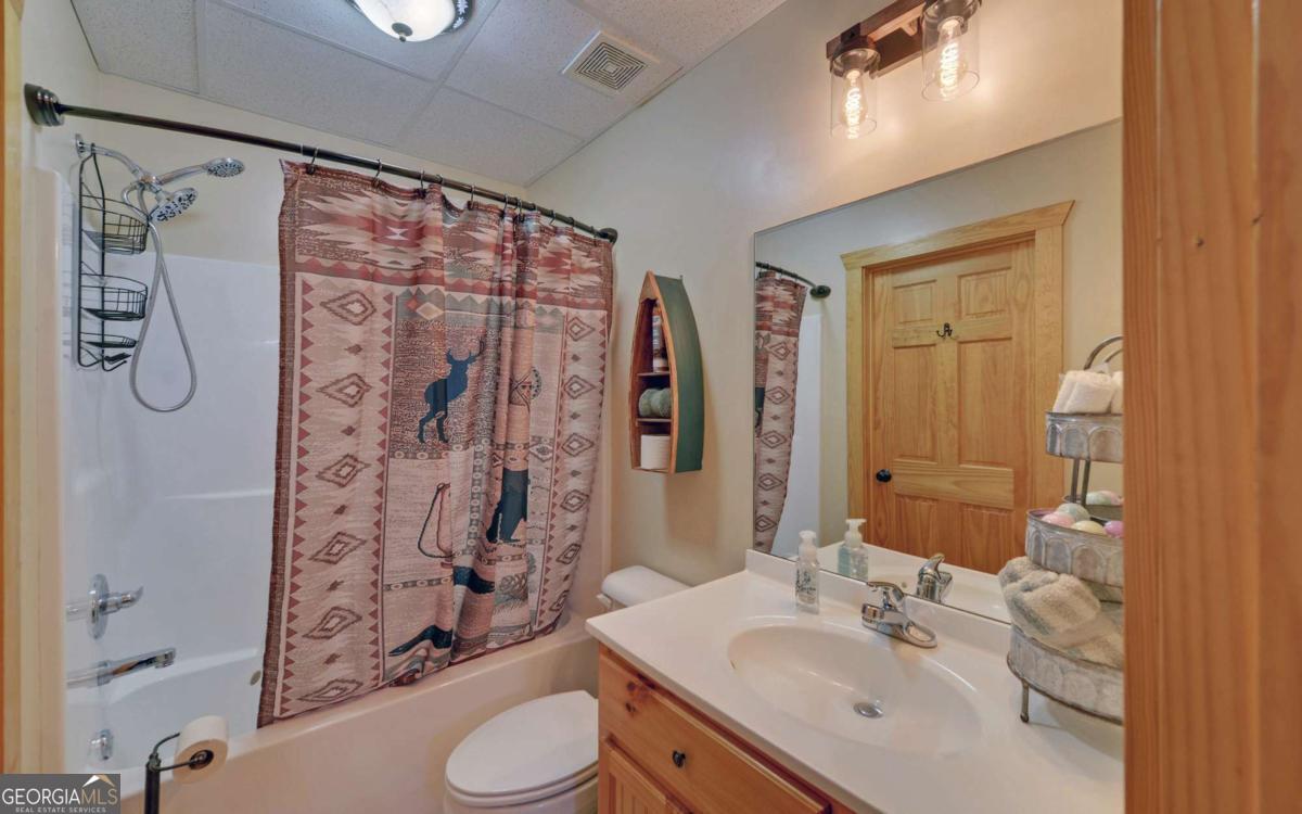 169 Wildwood Court Ellijay GA 30540