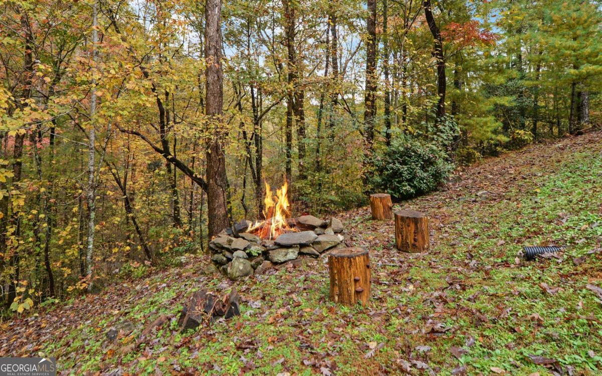 169 Wildwood Court Ellijay GA 30540
