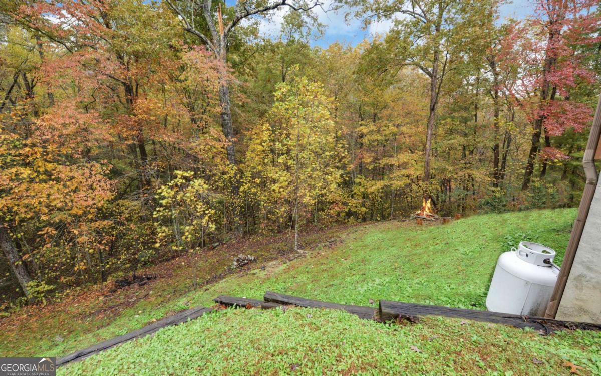 169 Wildwood Court Ellijay GA 30540