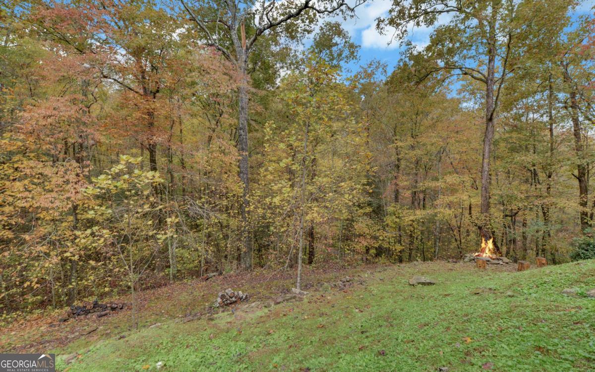 169 Wildwood Court Ellijay GA 30540