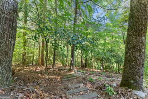 44 Sassafras Ridge Jasper GA 30143