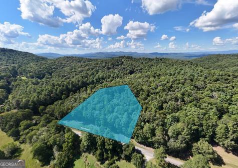 1341 Mull Road Morganton GA 30560