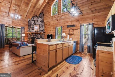 114 Palisade Drive Ellijay GA 30540