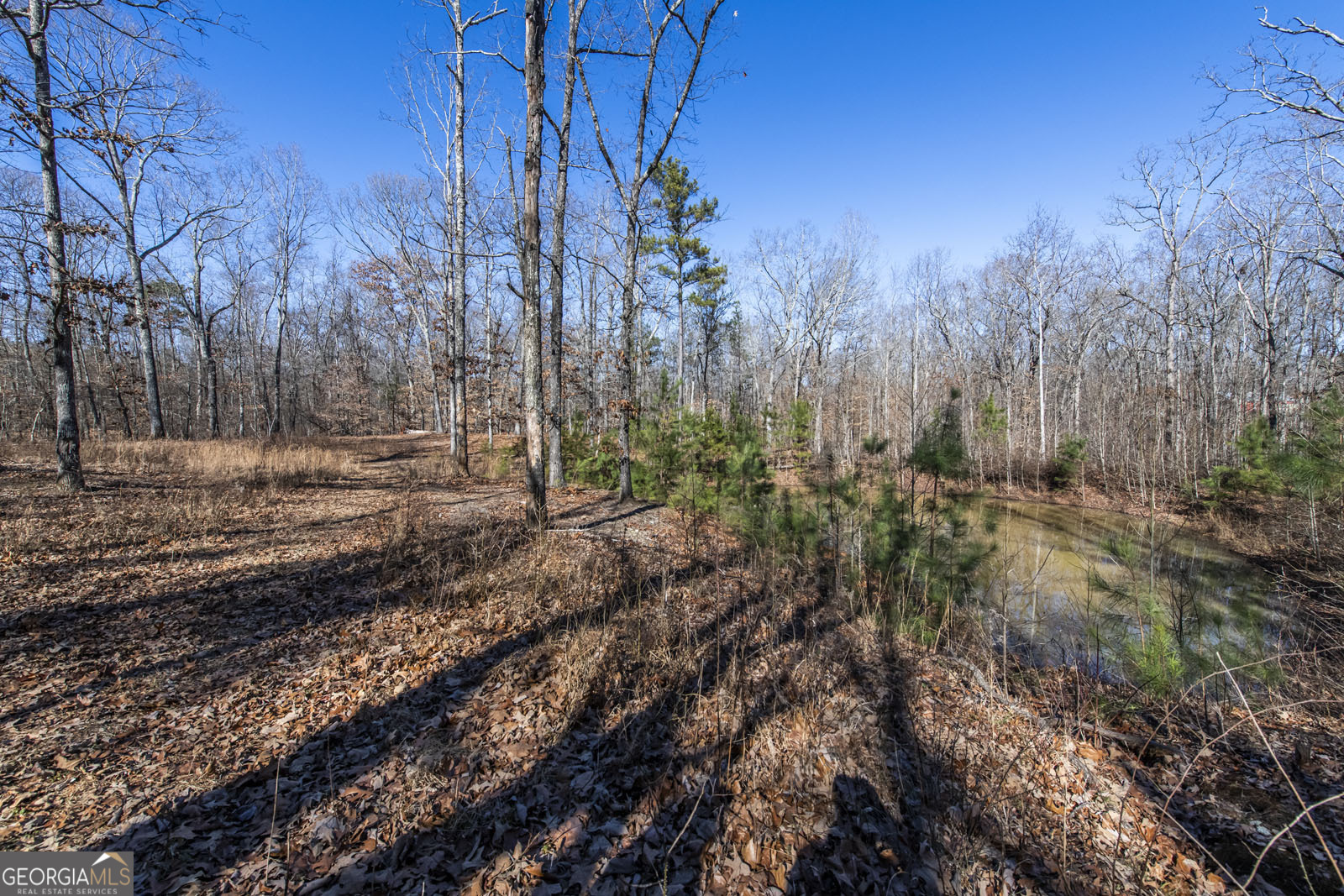 200 Heath Road Carrollton GA 30116