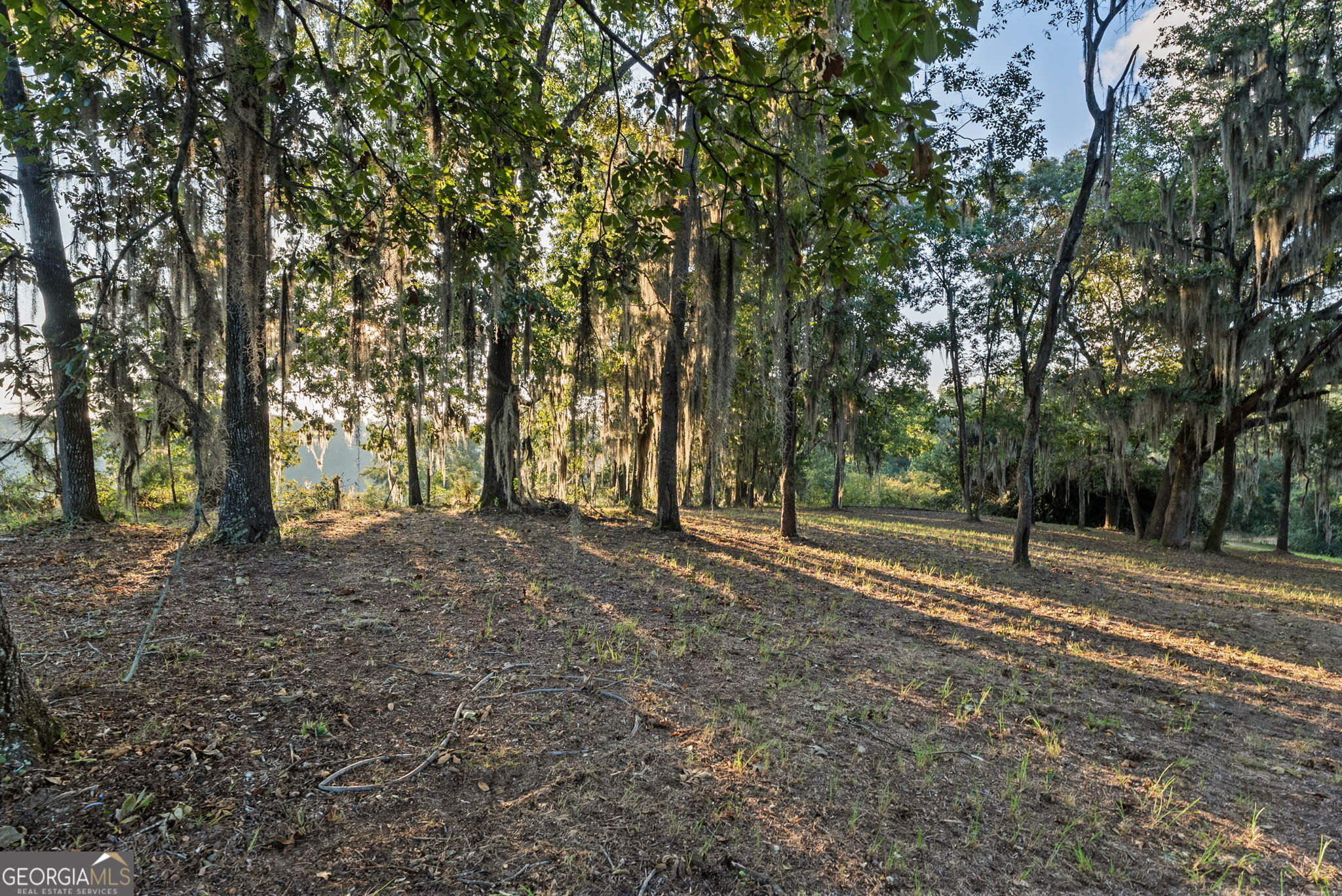 3587 Hancock Landing Road Waynesboro GA 30830