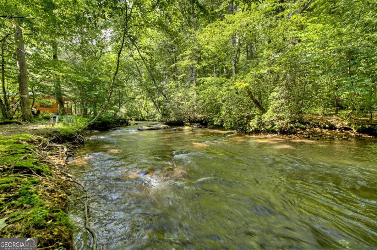 251 Rockhouse Road Cherry Log GA 30522