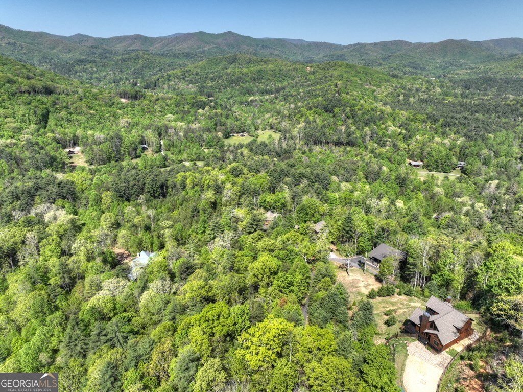 459 Quail Ridge Road Blue Ridge GA 30513