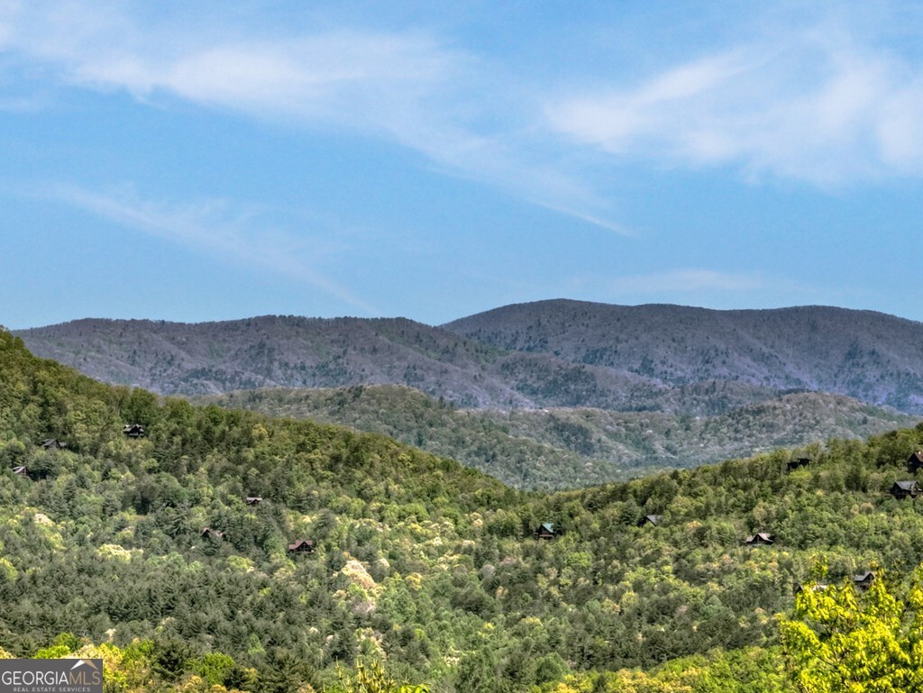 459 Quail Ridge Road Blue Ridge GA 30513