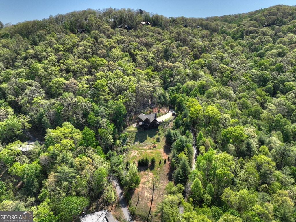 459 Quail Ridge Road Blue Ridge GA 30513
