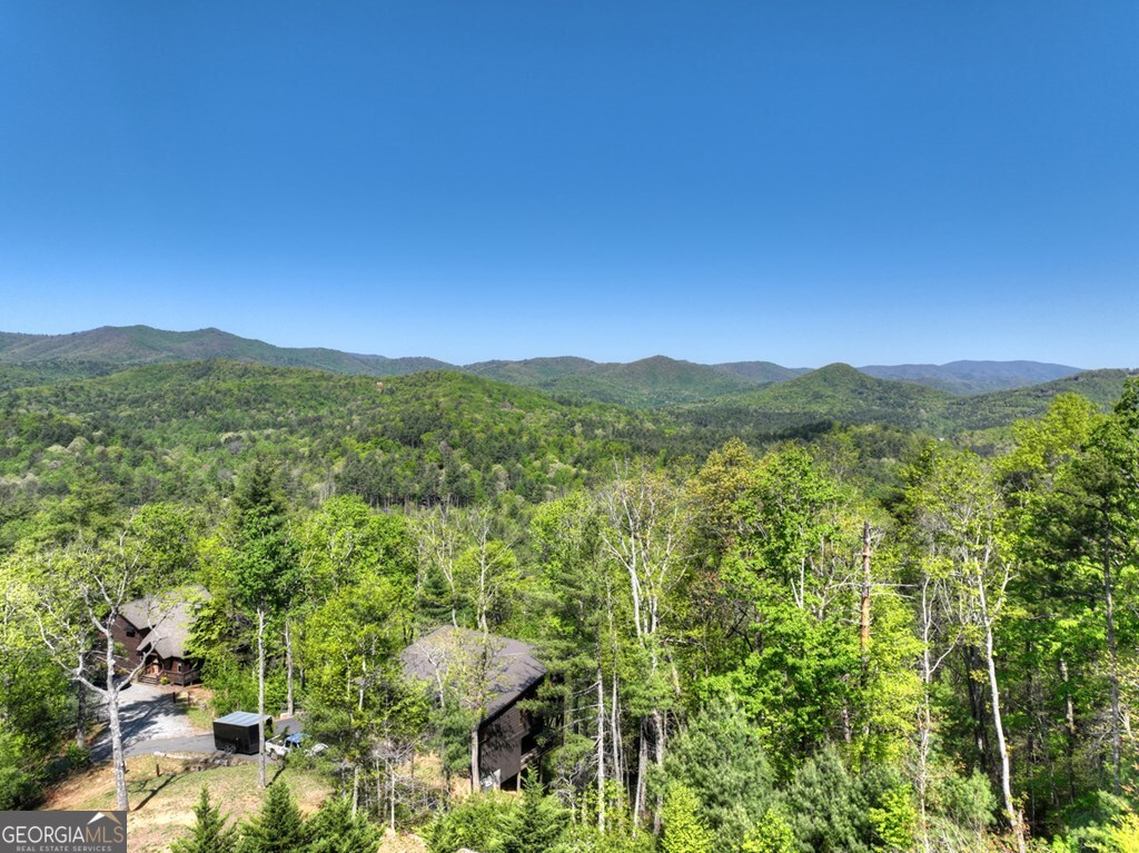 459 Quail Ridge Road Blue Ridge GA 30513