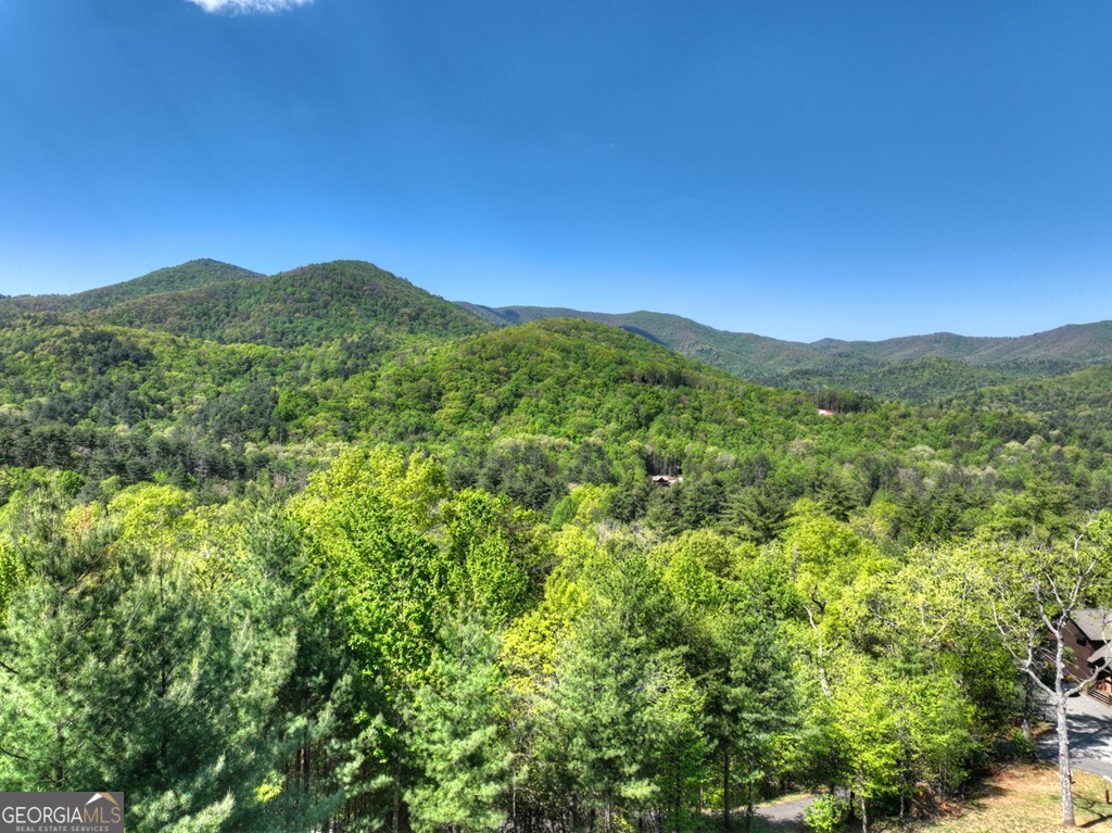 459 Quail Ridge Road Blue Ridge GA 30513