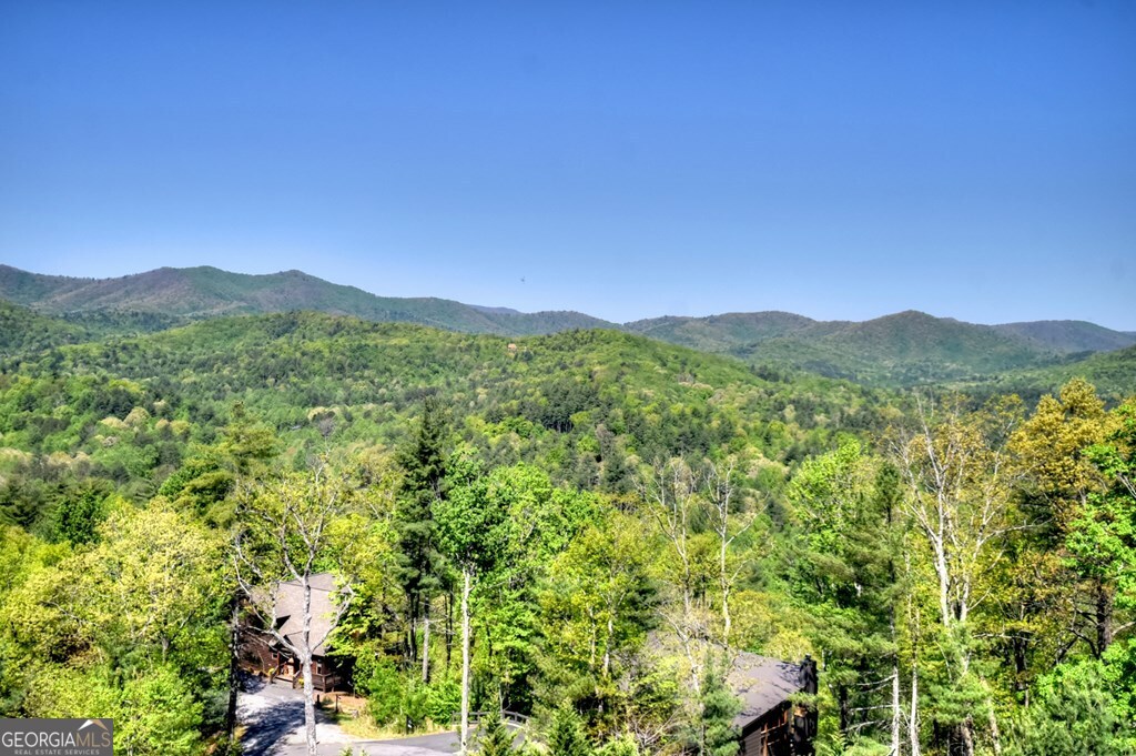 459 Quail Ridge Road Blue Ridge GA 30513