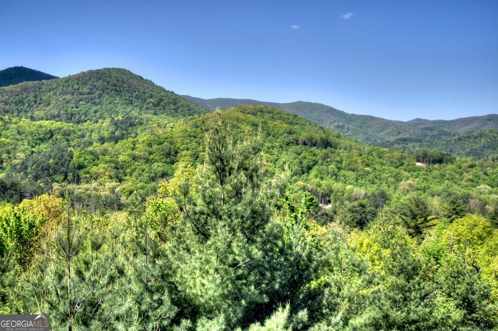 459 Quail Ridge Road Blue Ridge GA 30513