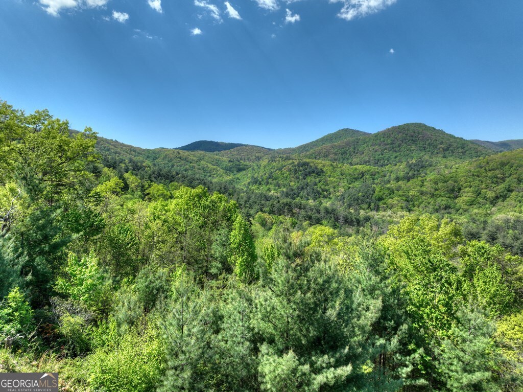 459 Quail Ridge Road Blue Ridge GA 30513