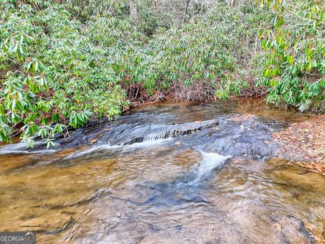 7829 Dillard Road Scaly Mountain NC 28775