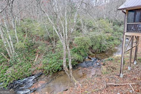 7829 Dillard Road Scaly Mountain NC 28775