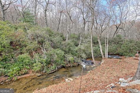 7829 Dillard Road Scaly Mountain NC 28775