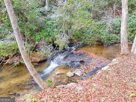 7829 Dillard Road Scaly Mountain NC 28775
