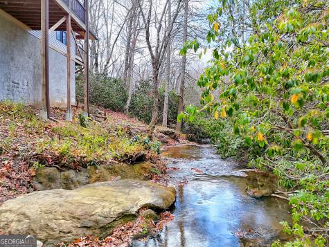7829 Dillard Road Scaly Mountain NC 28775