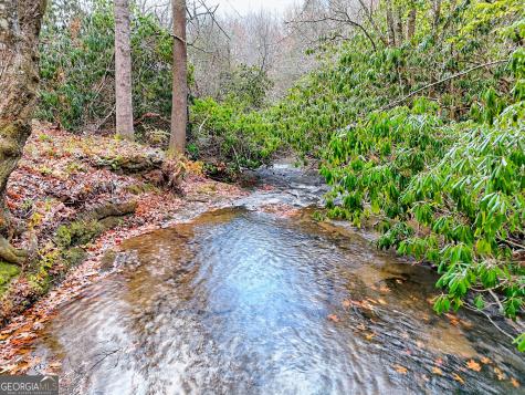 7829 Dillard Road Scaly Mountain NC 28775
