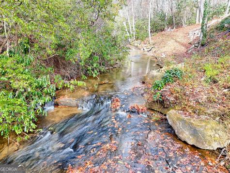 7829 Dillard Road Scaly Mountain NC 28775