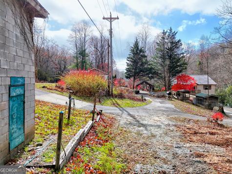 7829 Dillard Road Scaly Mountain NC 28775