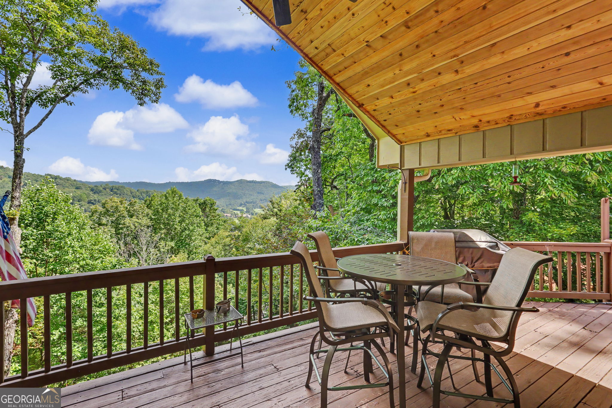 81 Mcclure Lane Sky Valley GA 30537