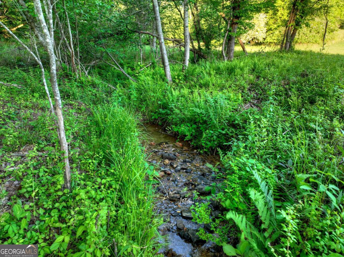 247 Craigtown Road Ellijay GA 30540