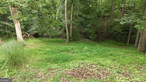 161 Arbor Way Blue Ridge GA 30513
