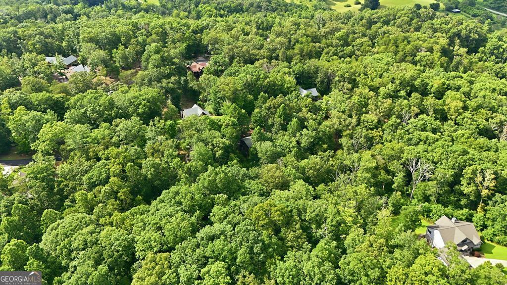 161 Arbor Way Blue Ridge GA 30513