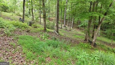 161 Arbor Way Blue Ridge GA 30513