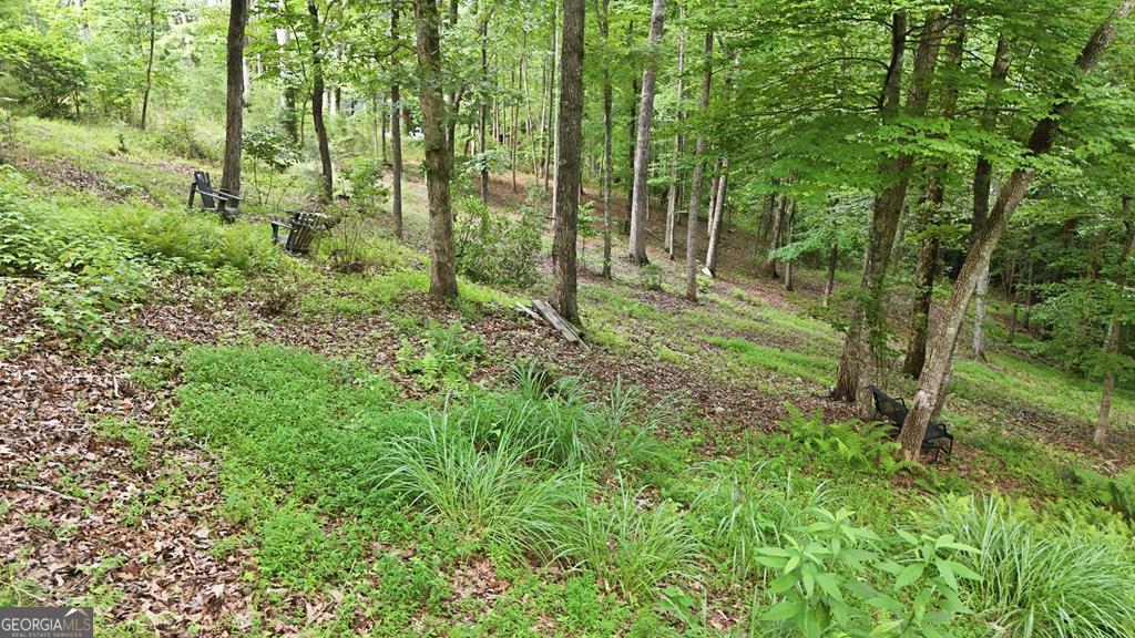 161 Arbor Way Blue Ridge GA 30513