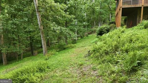 161 Arbor Way Blue Ridge GA 30513