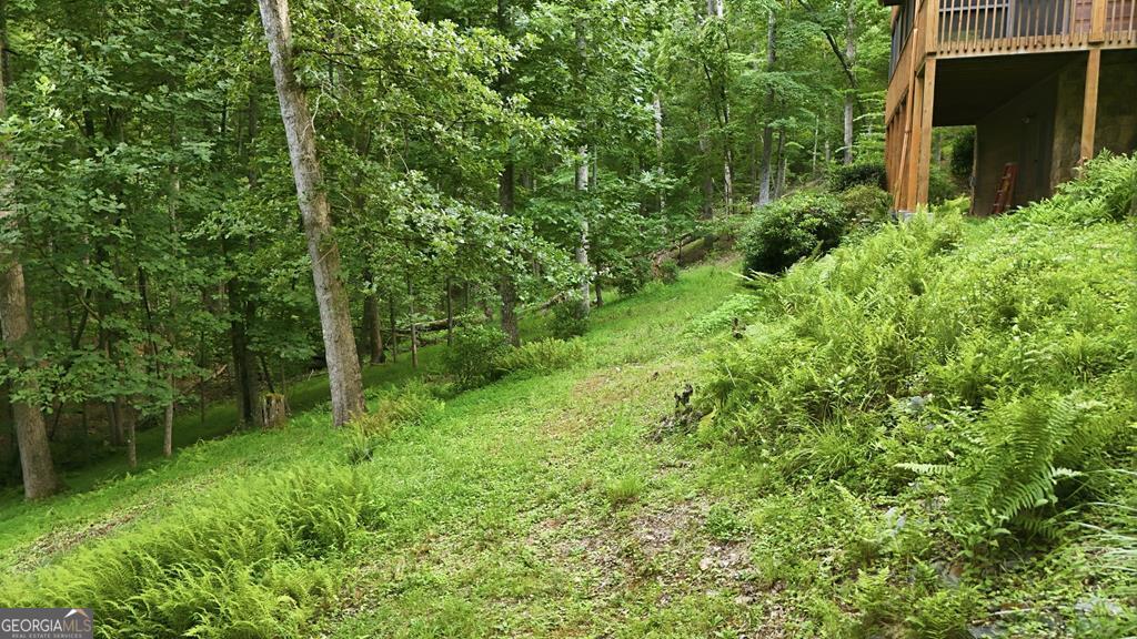 161 Arbor Way Blue Ridge GA 30513