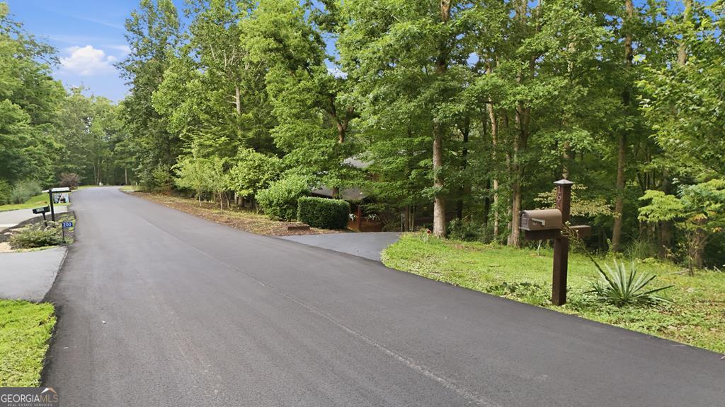 161 Arbor Way Blue Ridge GA 30513