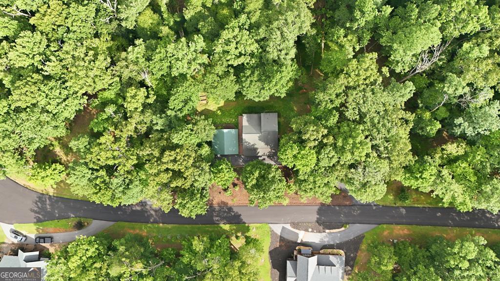 161 Arbor Way Blue Ridge GA 30513