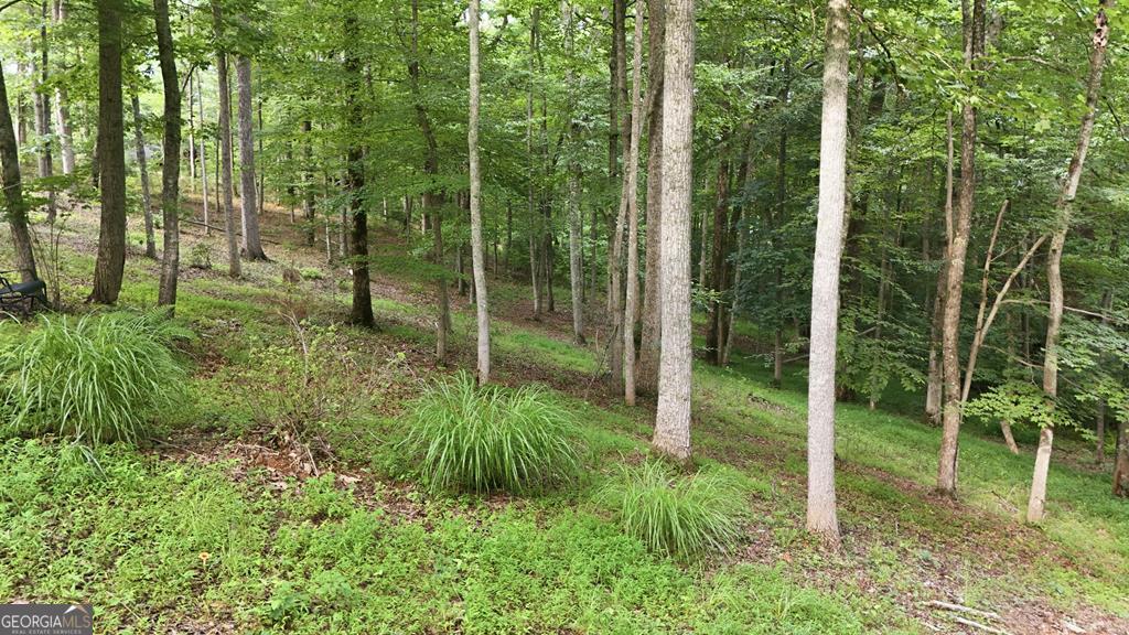 161 Arbor Way Blue Ridge GA 30513