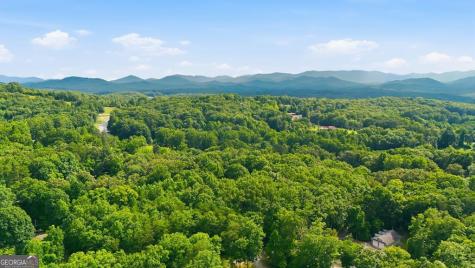 161 Arbor Way Blue Ridge GA 30513