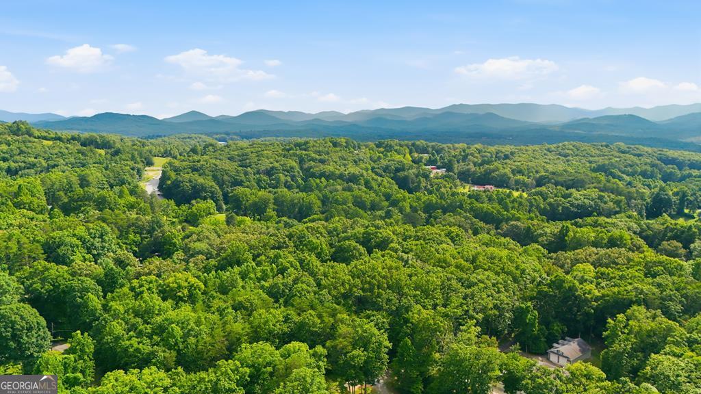 161 Arbor Way Blue Ridge GA 30513