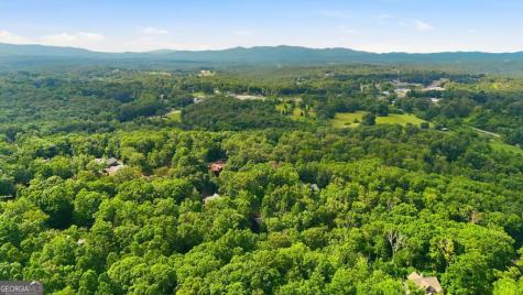 161 Arbor Way Blue Ridge GA 30513