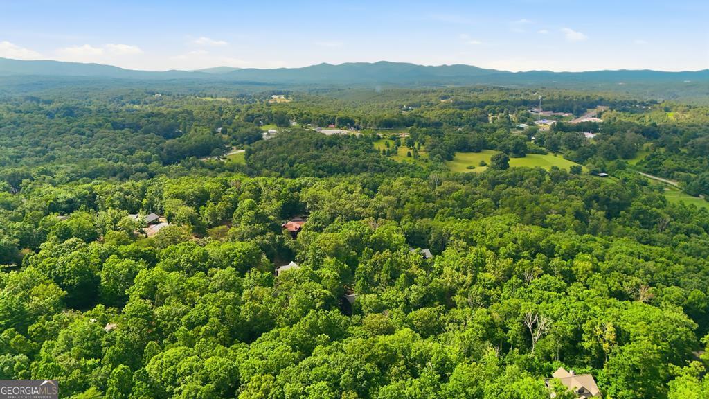 161 Arbor Way Blue Ridge GA 30513