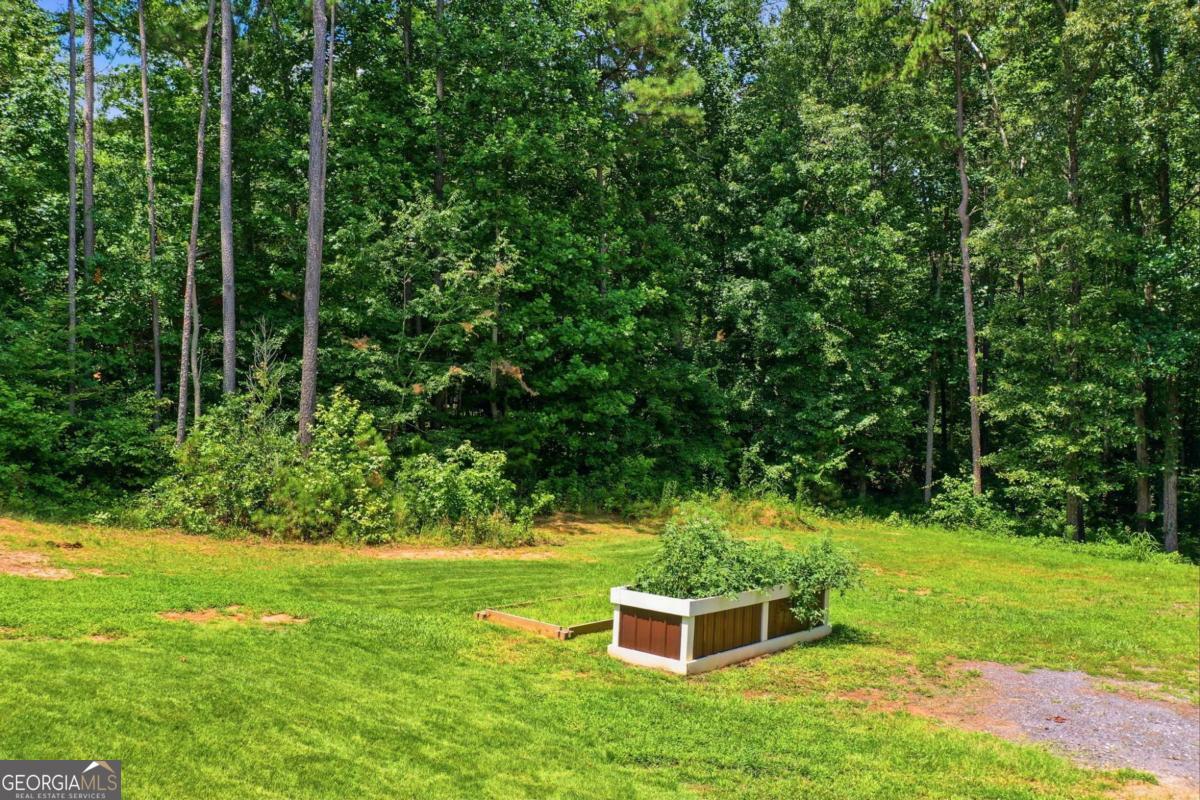 265 Glen Wilkie Trail Ball Ground GA 30107