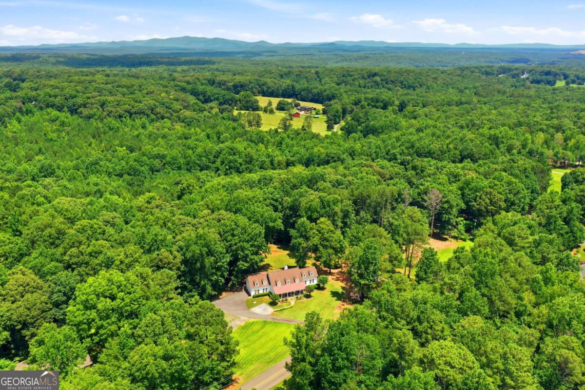 265 Glen Wilkie Trail Ball Ground GA 30107
