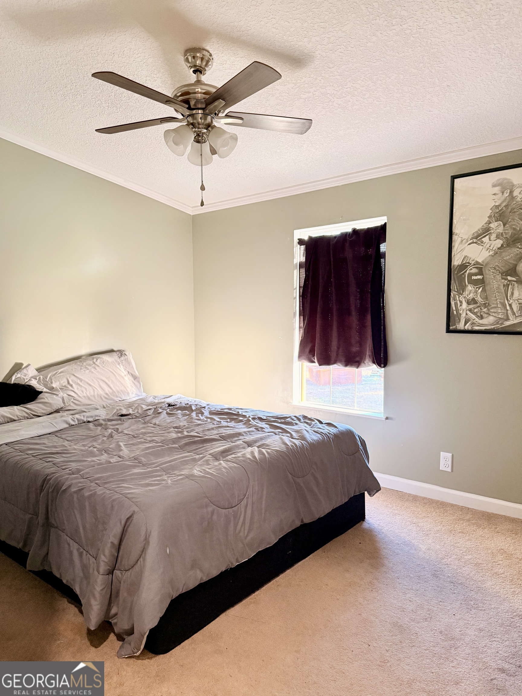 5817 Cantrell Road Patterson GA 31557